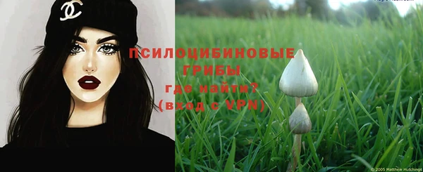 СК Гусь-Хрустальный