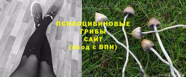 дживик Дмитров
