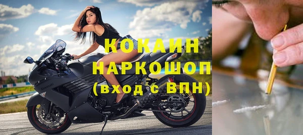 СК Гусь-Хрустальный