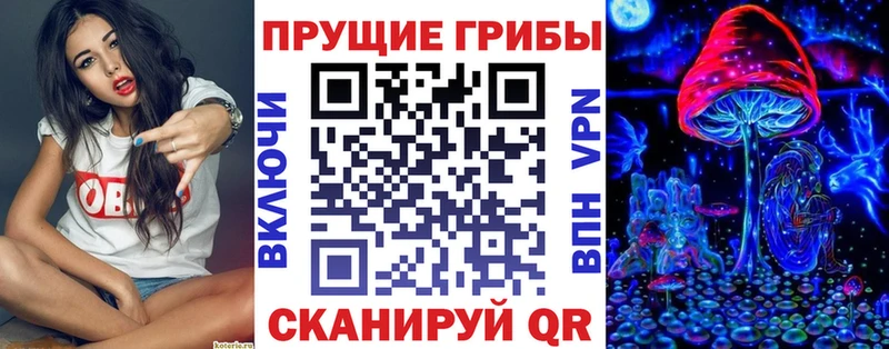 Псилоцибиновые грибы Magic Shrooms  Купить закладки  Куйбышев 